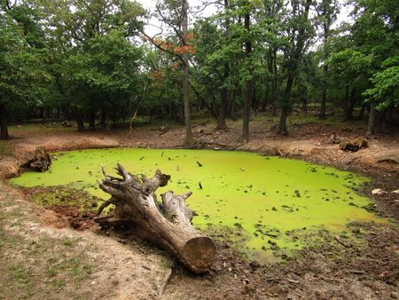 Green Lakeの写真素材