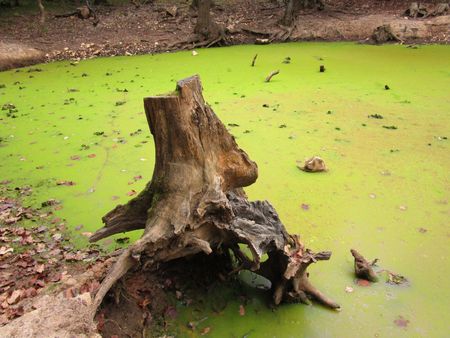 Green Lakeの写真素材