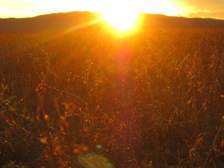 Sunsetの写真素材