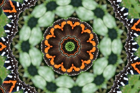 Dark Mandalaの写真素材