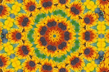 Summer Mandalaの写真素材