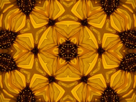 Shining Star IIの写真素材