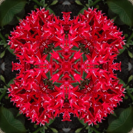  Red Mandala Crossの写真素材