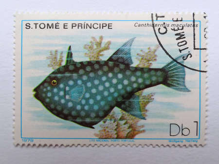 DEMOCRATIC REPUBLIC OF SAO TOME AND PRINCIPE - CIRCA 1979: A stamp printed in Democratic republic of Sao Tome and Pricipe shows an Ocean Triggerfish (Canthidermis Maculata)のeditorial素材