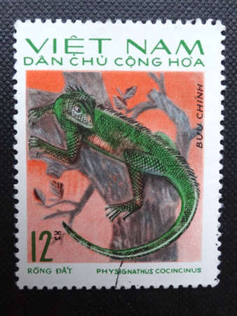 NORTH VIETNAM - CIRCA 1975: A stamp printed in NORTH VIETNAM shows a Chinese Water Dragon (Physignathus cocincinus) also known as Asian Water Dragon or Green Water Dragon, circa 1975.のeditorial素材