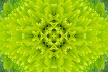 Green Mandala