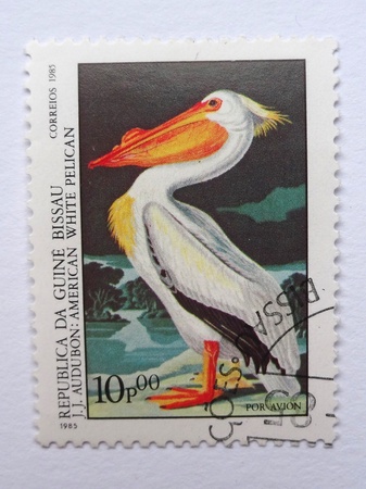 GUINEA BISSAU - CIRCA 1985: Stamp printed in GUINEA BISSAU commemorates  birth bicentenary of ornithologist John J. Audubon and it shows American White Pelican, circa 1985のeditorial素材
