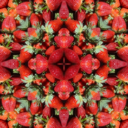 Strawberry Mandalaの写真素材