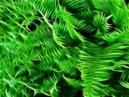 Abstract Green Backgroundの写真素材