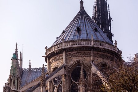 Notre Dameの写真素材