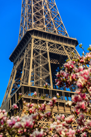 Eiffel Towerの写真素材