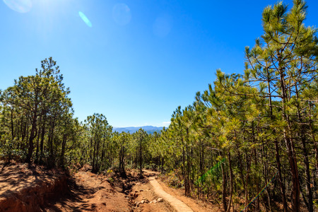 Lashihai Wetland Nature Reserveのeditorial素材