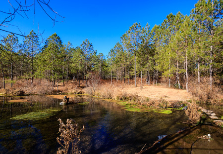Lashihai Wetland Nature Reserveのeditorial素材