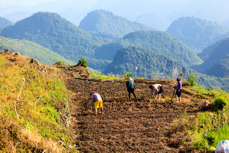 guangdong miao village at farmのeditorial素材