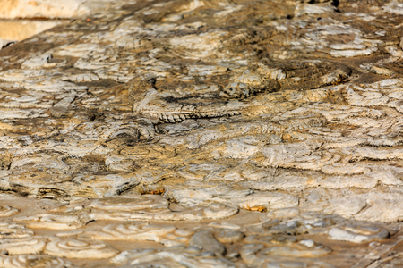 National Palace Museum muralsのeditorial素材