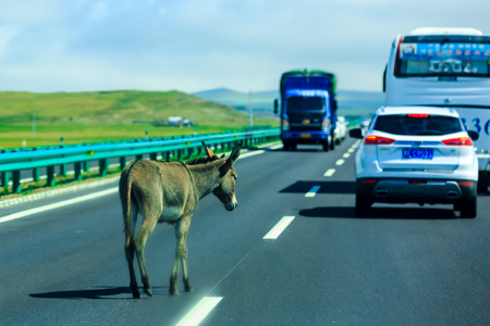 Inner Mongolia Hulun Buir highwayのeditorial素材