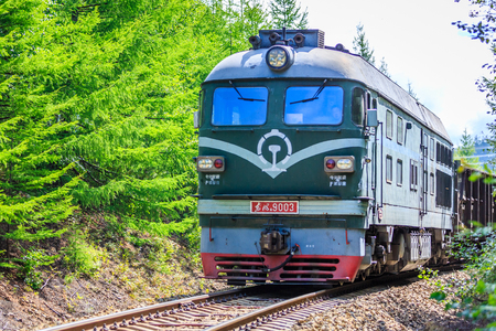 Forest wooden trainのeditorial素材