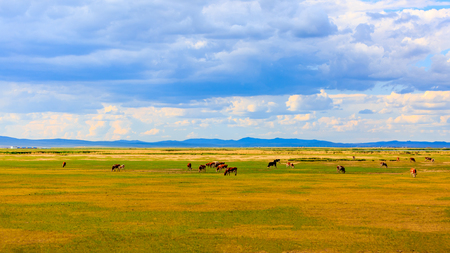 Inner Mongolia Hulun Buir beautiful sceneryの写真素材