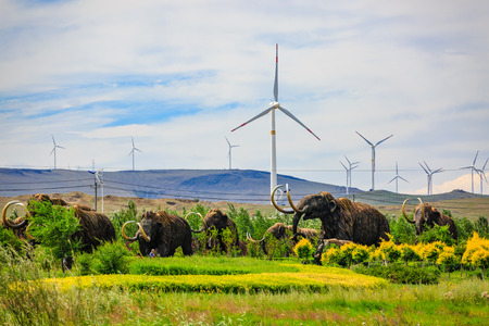 Hulun Buir Manzhouli, Inner Mongolia Zhalainuoer Mammoth Parkのeditorial素材