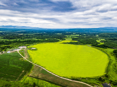 Inner Mongolia Hulunbeier rape fieldの写真素材