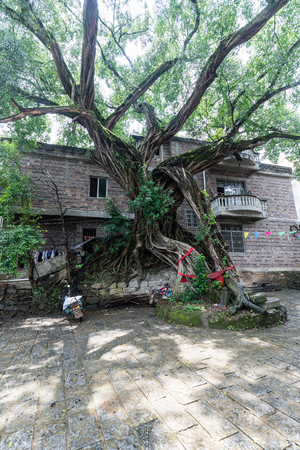 houses at Guangxi Jinjin Ancient Townのeditorial素材