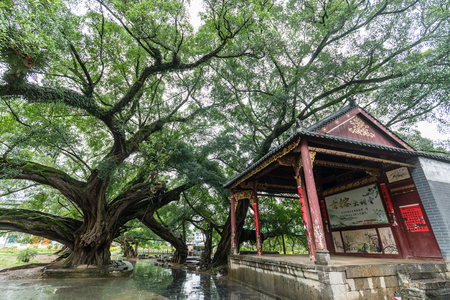 Guangxi Jinjin Ancient Townのeditorial素材