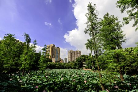 Guangzhou Uprising Martyrs Cemeteryの写真素材