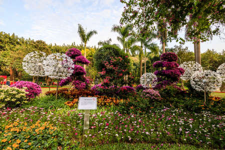 Azalea Exhibition in Guangzhou Sculpture Parkのeditorial素材