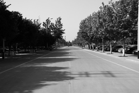 Black and white cityscapeのeditorial素材