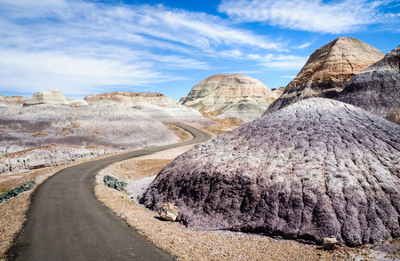 Petrified Forest National Parkの写真素材