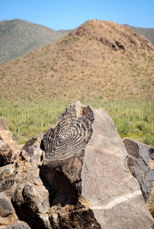 Saguaro National Parkの写真素材