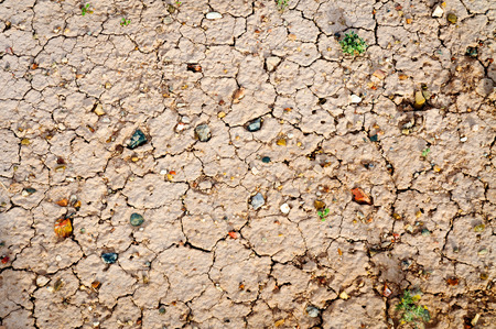 Petrified Forest National Parkの写真素材