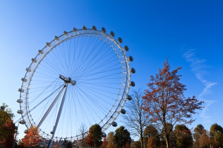 LONDON - NOVEMBER 14: London Eye viewed from Jubilee Gardens on November 14, 2012 in London.のeditorial素材