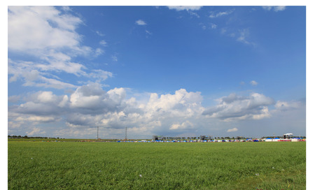 In the steppeのeditorial素材