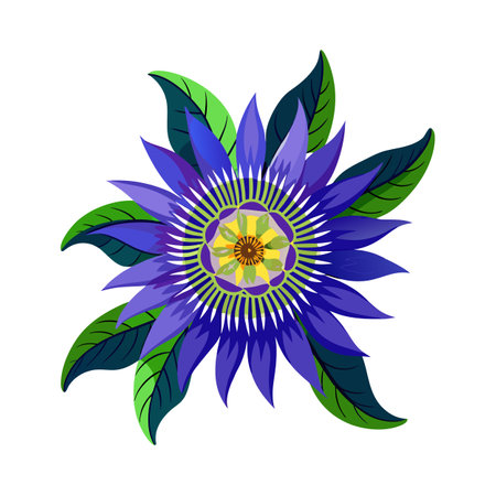 Beautiful flower flat style vector illustrationのイラスト素材