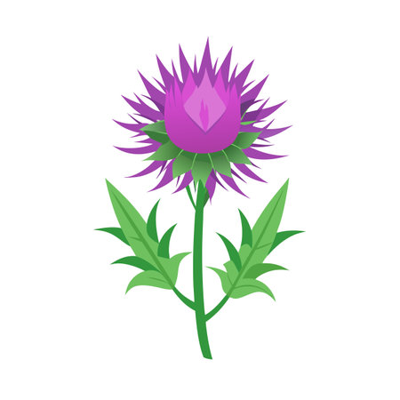 Beautiful flower flat style vector illustrationのイラスト素材