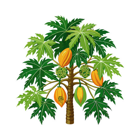 Beautiful Single Big Tree Vector Illustrationのイラスト素材