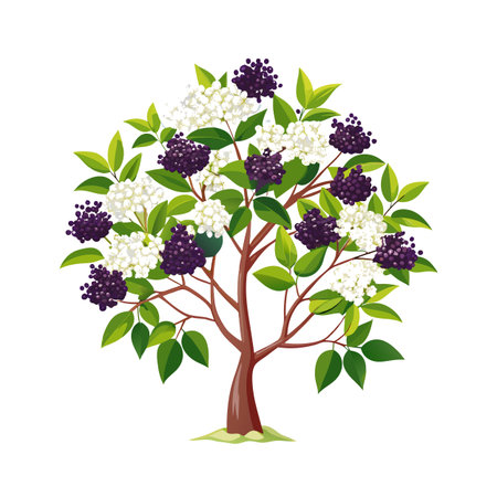 Beautiful Single Big Tree Vector Illustrationのイラスト素材