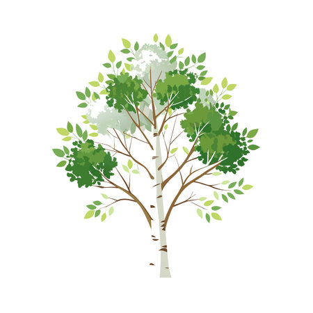 Beautiful Single Big Tree Vector Illustrationのイラスト素材