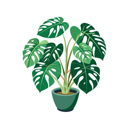Beautiful Houseplant Vector Illustration Conceptのイラスト素材