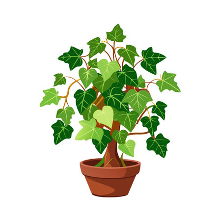 Beautiful Houseplant Vector Illustration Conceptのイラスト素材