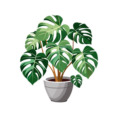 Beautiful Houseplant Vector Illustration Conceptのイラスト素材