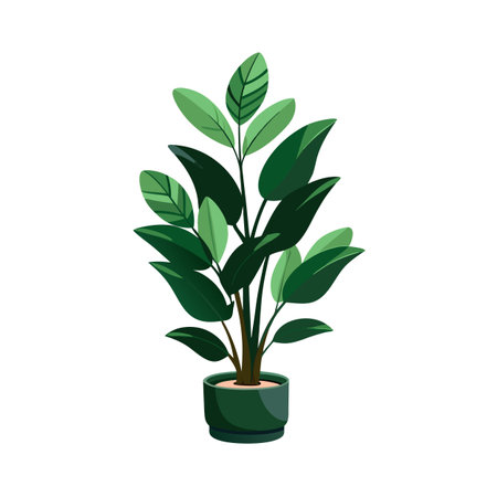 Beautiful Houseplant Vector Illustration Conceptのイラスト素材