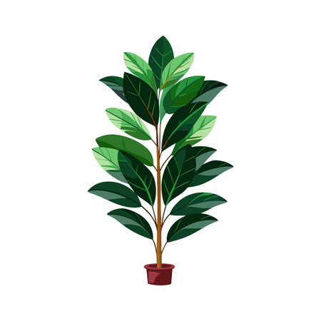 Beautiful Houseplant Vector Illustration Conceptのイラスト素材