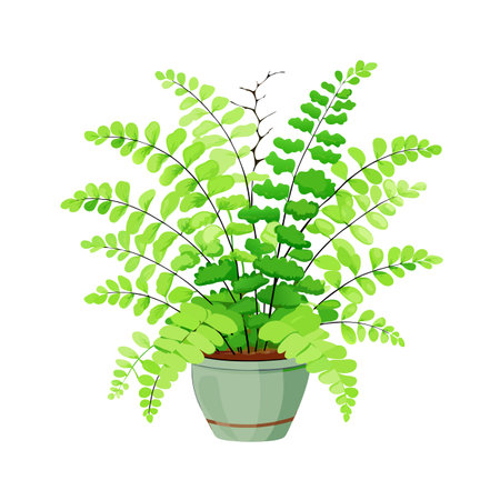 Beautiful Houseplant Vector Illustration Conceptのイラスト素材