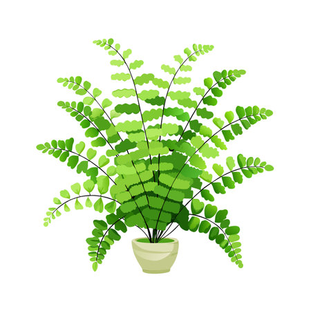 Beautiful Houseplant Vector Illustration Conceptのイラスト素材