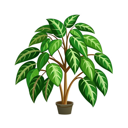 Beautiful Houseplant Vector Illustration Conceptのイラスト素材