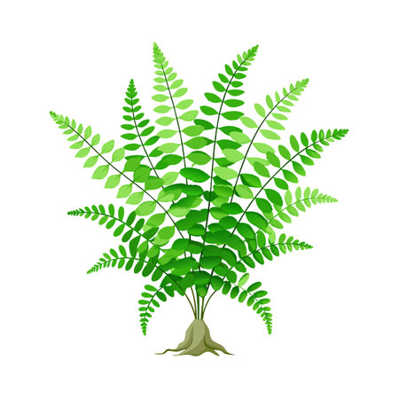 Beautiful Houseplant Vector Illustration Conceptのイラスト素材
