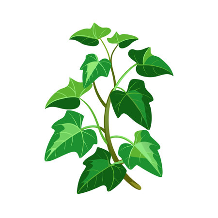 Beautiful Houseplant Vector Illustration Conceptのイラスト素材