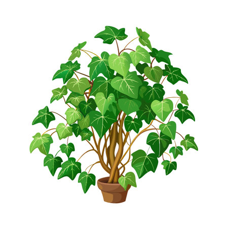 Beautiful Houseplant Vector Illustration Conceptのイラスト素材